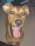 Kiara