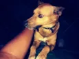 Juninho