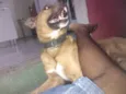 Juninho