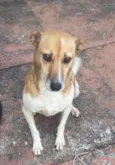 Bilu