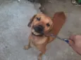 paçoca