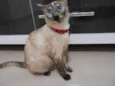 Mel