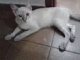 Imperador
