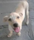 Kiko