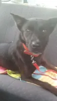 nina