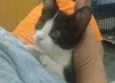 Lindinha