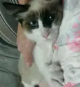 Nina