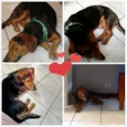 etequinho