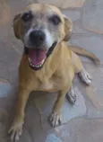 Valentina