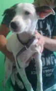 Jack
