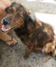 kiara