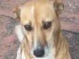 Bilu