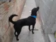Spyke