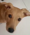 Lindinha