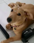 Lindinha