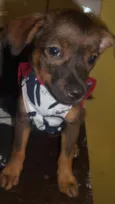 Jolie