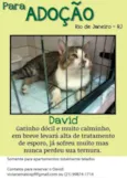 David