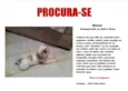 Bumer GRATIFICA
