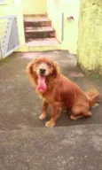 BIG