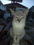 Clara