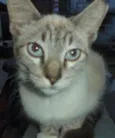 Clara
