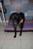 Johanna