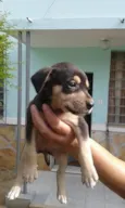 KAYTE