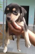 KAYTE