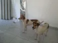 Mel e Lory