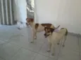 Mel e Lory