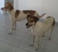 Mel e Lory