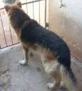 Billy