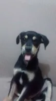 di