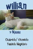 Willian