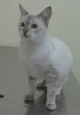 Mimi