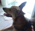Paulinha