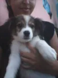 não tem nome