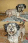 chamamos de "XUÃO"
