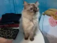 Rubi
