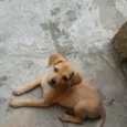 Maggie