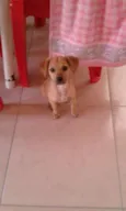 Maggie