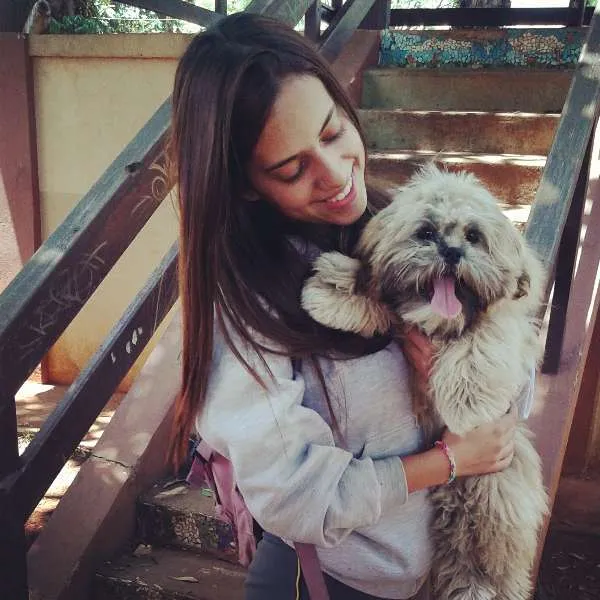 Cachorro ra a Lhasa Apso idade 7 a 11 meses nome Pumba
