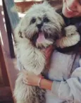 Pumba