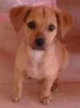 Maggie