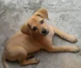 Maggie