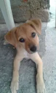 Maggie