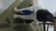 Manhoso