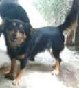 Jão