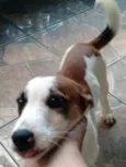 Billy