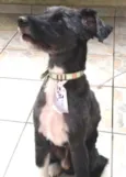 Vovô Felipe